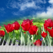 Collage, Klavier mit Bltenzauber